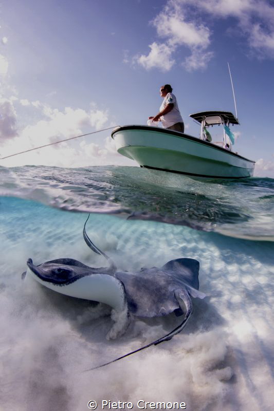 Stingrays and boatman by Pietro Cremone 