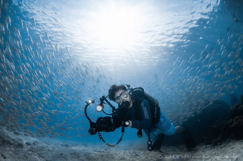 Kenny
Summer Bay Jetty
Lang Tengah (KT), Malaysia. May ... by Irwin Ang 