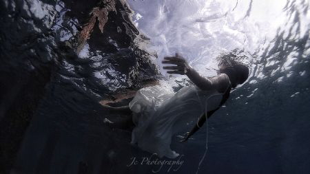 Fallen. Olympus TG4 by Khow Jin Chee 