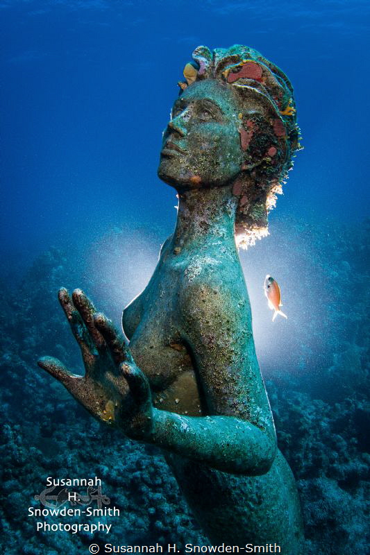 Mermaid statue at Sunset House, Grand Cayman

I used a ... by Susannah H. Snowden-Smith 