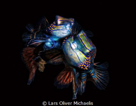 Oh, kiss me beneath the milky twilight! by Lars Oliver Michaelis 