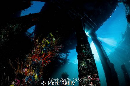 Busselton jetty by Mark Reilly 