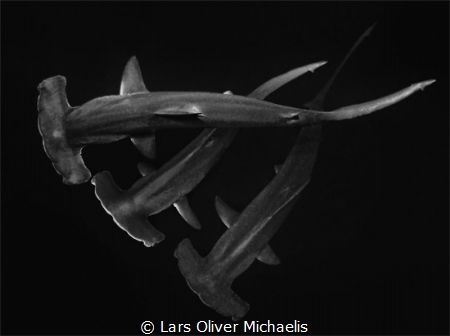 Silhouettes by Lars Oliver Michaelis 