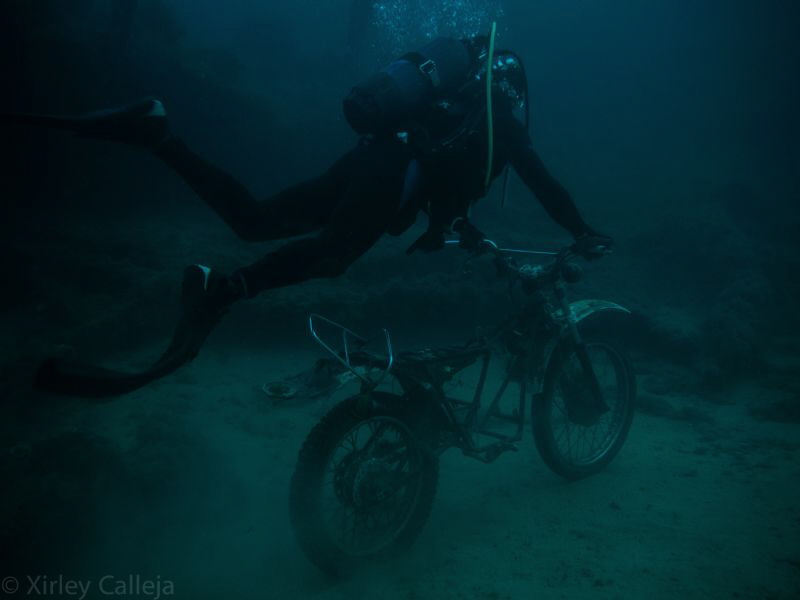 Biking on the Maori by Shirley Calleja 