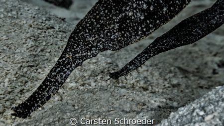 Housereef summer island with an Nikon AW130 by Carsten Schroeder 