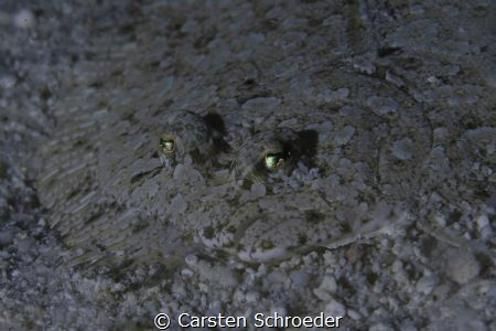 Summenisland Housreef Nightdive by Carsten Schroeder 