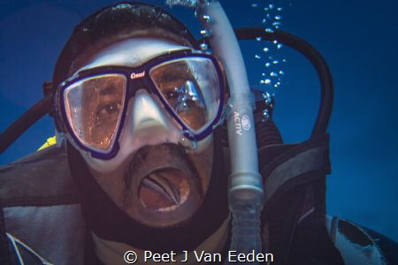 Cleaning station. A wrasse at work by Peet J Van Eeden 