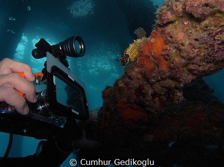 HAND MADE Photo Workshop from Korumar Bay. by Cumhur Gedikoglu 