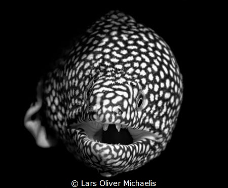 sudden death by Lars Oliver Michaelis 