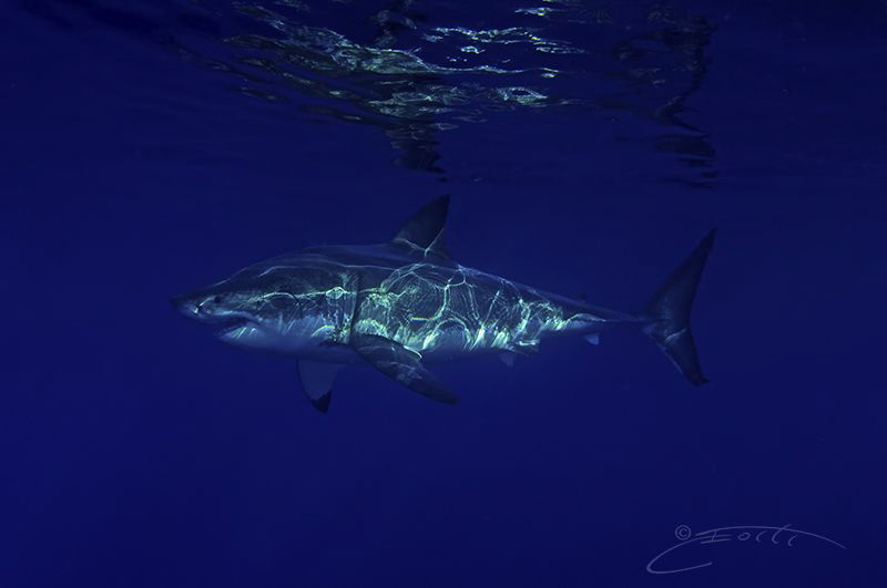 ~ Energy ~ by Geo Cloete 
