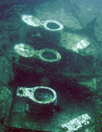No toilet paper AGAIN!?! 
(King Cruiser Wreck, Andaman Sea) by Gordana Zdjelar 