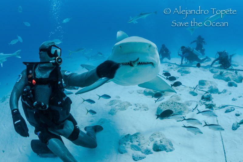 Jaws with Octavio, Playa del Carmen México by Alejandro Topete 