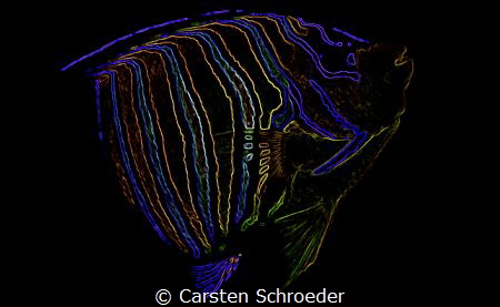 Neon young imperator by Carsten Schroeder 