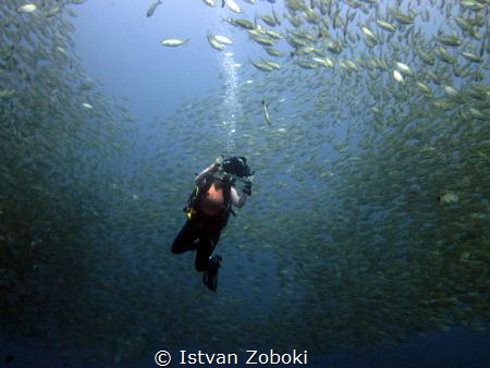 Amazing training day at Chumphon pinnacle. by Istvan Zoboki 