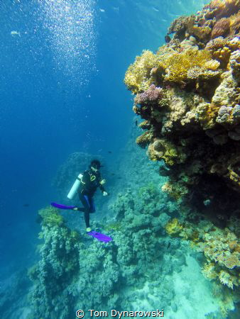 Go pro by Tom Dynarowski 