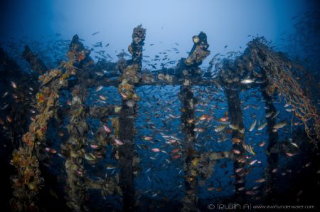 G H O S T - W R E C K 
Ghost Wreck / Fish Ball
Lang Ten... by Irwin Ang 