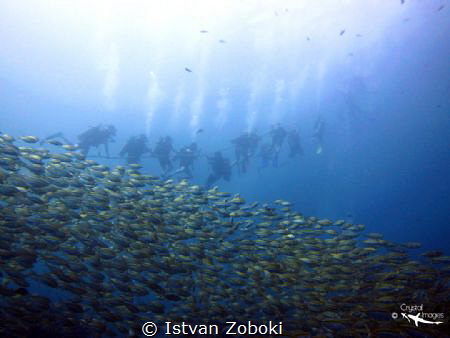 Amazing practice day at Chumphon Pinnacle. by Istvan Zoboki 