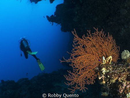 Bunaken by Robby Quento 