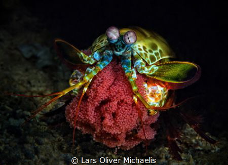...proudly presenting... by Lars Oliver Michaelis 