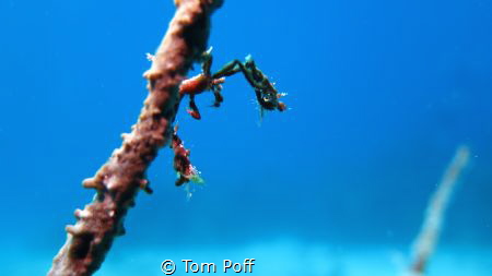 Bloody Bay, Canon G16 by Tom Poff 