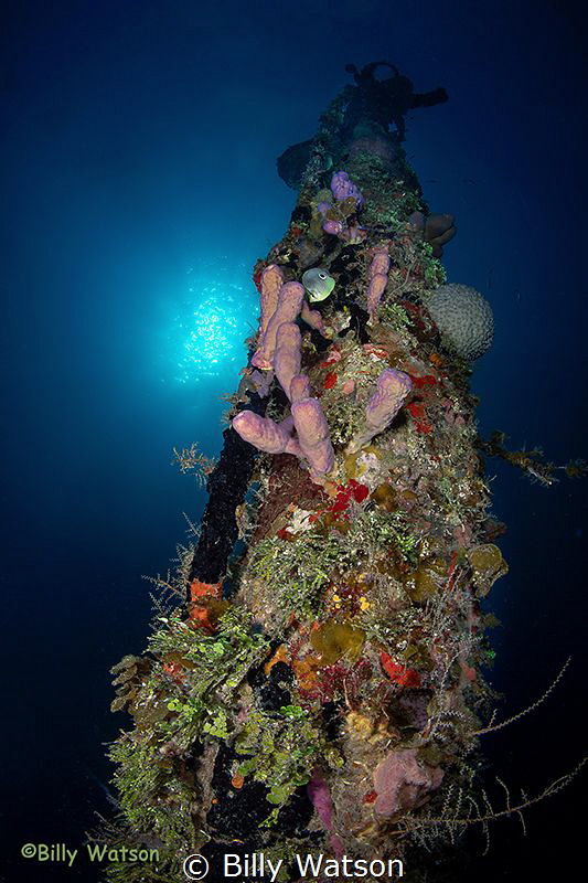 El Aguila, Spanish for ‘The Eagle’, is a 230 ft long frei... by Billy Watson 