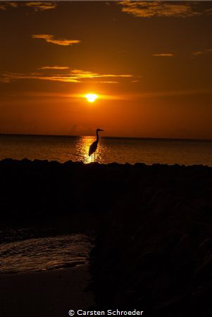 Sunsowner by Carsten Schroeder 