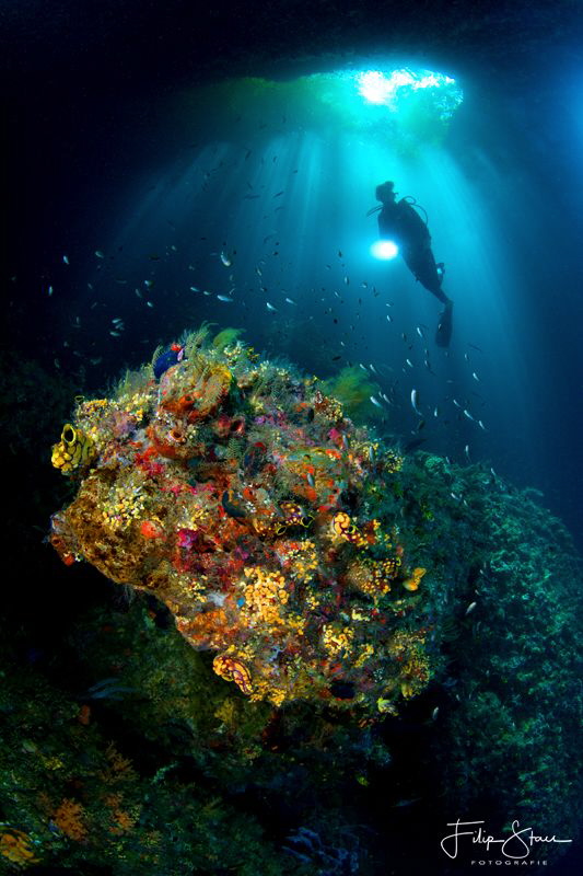 Exploring a cave at the Passage, Raja Ampat. by Filip Staes 