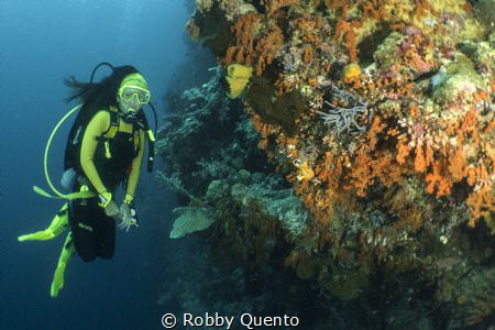 Wakatobi Wall by Robby Quento 