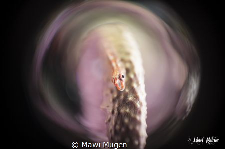 TURBULENCE
Shot taken in Gorontalo, Indonesia. It was sh... by Mawi Mugen 