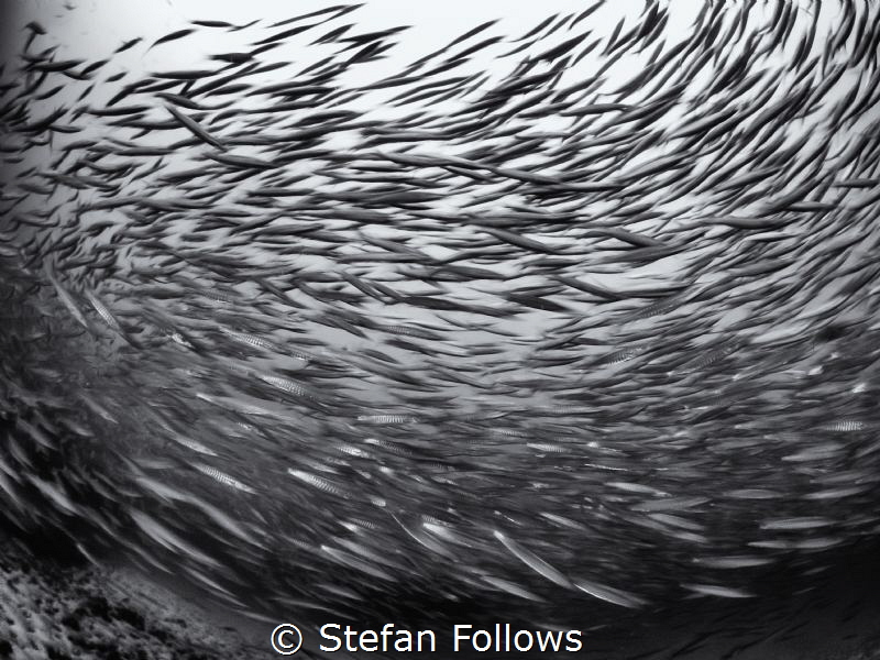 Chaos was the law of nature; Order was the dream of man. ... by Stefan Follows 