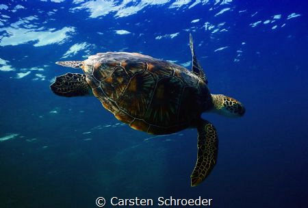 into the Blue taken with an Nikon AW 130 by Carsten Schroeder 