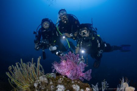 C E L E B R I T Y
Weedy Scorpionfish (Rhinopias frondosa... by Irwin Ang 