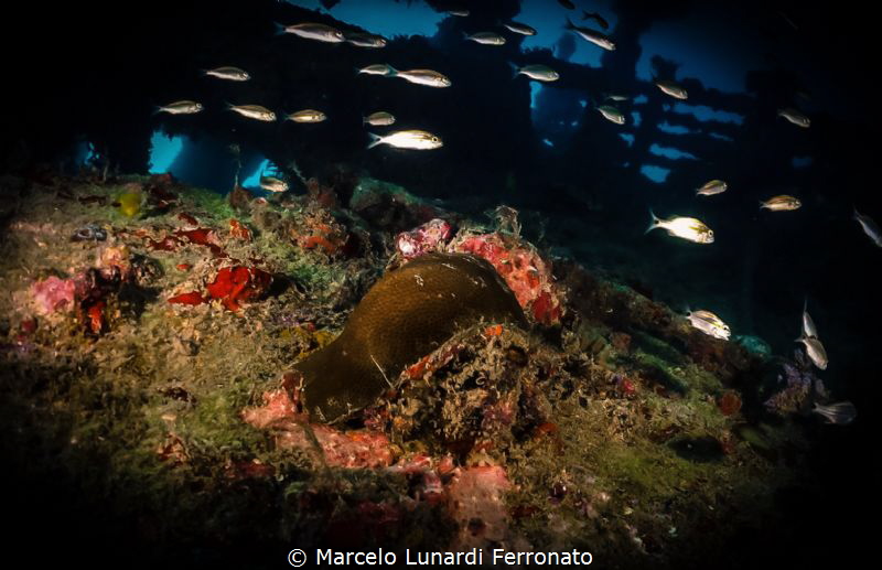 special place by Marcelo Lunardi Ferronato 