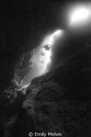 Into the Light
Taken at Blue Hole, Andros Bahamas by Emily Melvin 