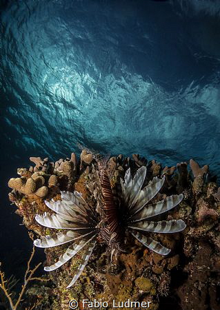 Do you see me? by Fabio Ludmer 