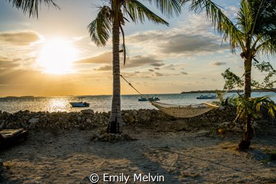 R&R at Sunrise
View of the Hammocks at Sunrise, Small Ho... by Emily Melvin 
