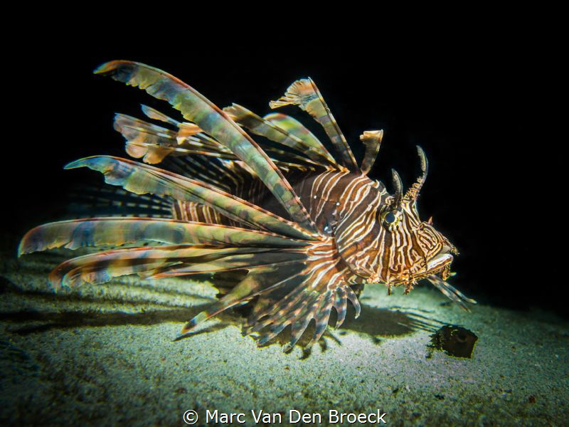 shadows and colors by Marc Van Den Broeck 