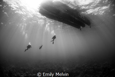 Ascending
Divers Ascending after a dive at Small Hope Ba... by Emily Melvin 