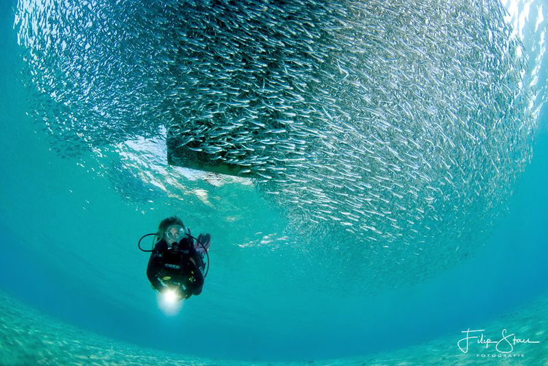 Underneath the boat. by Filip Staes 