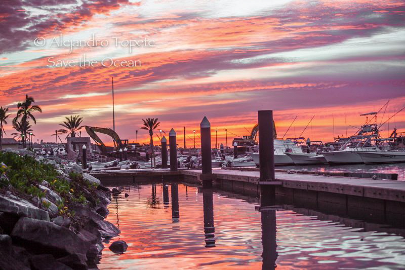 Sunshine in the bay, San Jose del Cabo Mexico by Alejandro Topete 