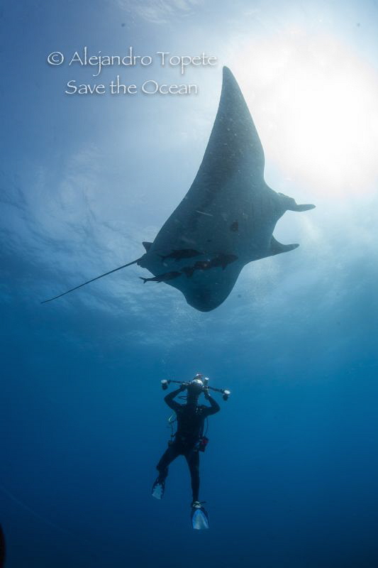Photographer Mantaray and sun, Roca Partida Mexico by Alejandro Topete 