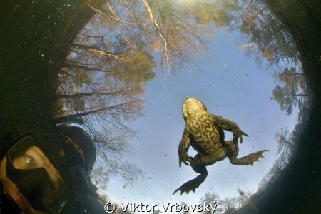 Selfie with Mr. Bufo :-) by Viktor Vrbovský 