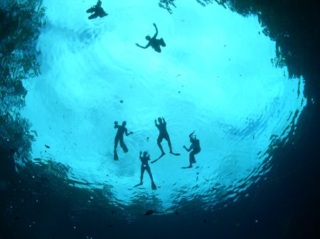Wide angle shot in the Blue Hole Vanuatu Beautiful clear ... by Brad Cox 
