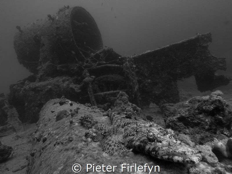 Crocodile fish with port side locomaotive of the Thistleg... by Pieter Firlefyn 
