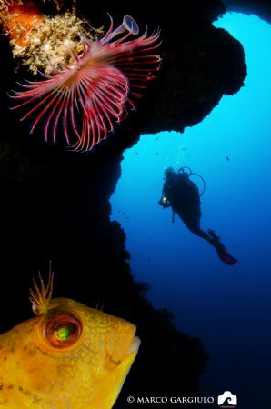 Red Yellow Blue by Marco Gargiulo 