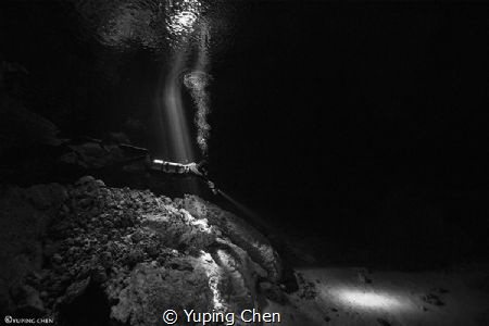 In the Light/ Cenote diving at Tajma Ha, Tulum, Mexico. C... by Yuping Chen 