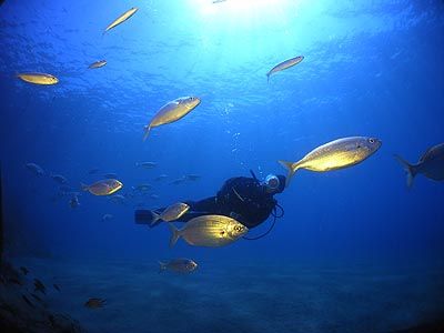 Puerto del Carmen, Lanzarote, has normally clear water wi... by Arthur Telle Thiemann 