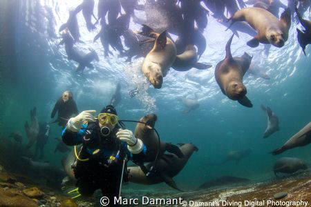 Do you ever get the feeling that something is behind you ... by Marc Damant 