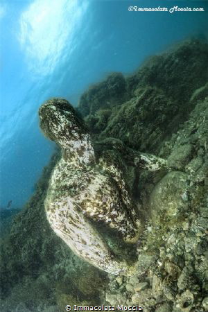 Submerged archaeological park - "Baios" by Immacolata Moccia 