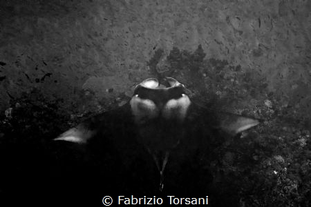 Black shape by Fabrizio Torsani 